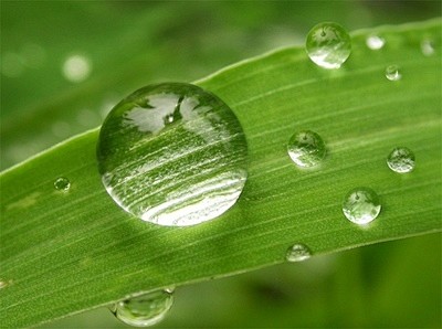 一场朦胧烟雨，肆意飘落，悄然给四月的明媚...