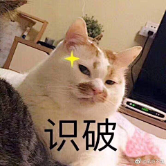 如果星星不曾眠采集到表情包