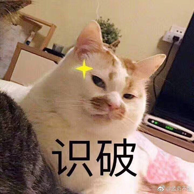 表情包