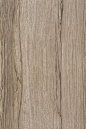 木纹砖贴图-博德榉木系列BNM7312K - 设计宝贝