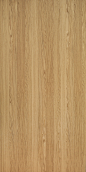 木纹板材贴图高清无缝3d材质贴图【来源www.zhix5.com】 (24)