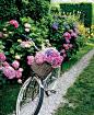 Love this! Beautiful Hydrangeas, looks like fun!