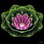 Water Lily by Klytia70 on deviantART