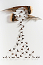 美丽的剪裁羽毛艺术 | Chris Maynard