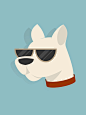 The Hipster Dog on Behance