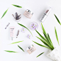 Caudalie (@caudalie)的Instagram主页 | Tofo.me: Instagram网页版