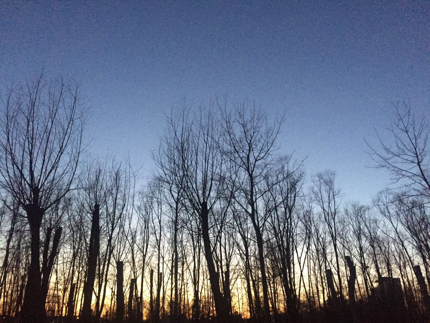 d014600bbb8d7b496786cc213458c91f7587f9d25389c-Ax7EgK