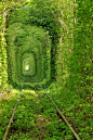 在乌克兰城市 Rivne 西北25公里处有条村庄名为 Klevan，里边有一条穿越森林的火车轨道。由于周围被繁茂的树枝绿叶所笼罩，这就形成了一段绿色的隧道，加之经常有情侣在此游玩久而久之就变成了一条“爱的隧道（Tunnel of Love）”。Klevan 在一战和二战期间曾经是波兰的领土，这条铁轨属于工业用途，专门用来运输铁矿石。据说目前地图上已没有标注这条铁轨，但卫星图仍旧能够看到（50.750726,26.045555）。