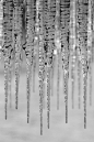  icicles