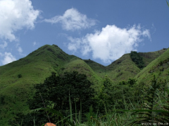 Cubo采集到重返十万大山母猪河（