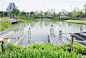 泰国曼谷的大型抗洪雨水公园 Chulalongkorn Centenary Park / LANDPROCESS – mooool木藕设计网
