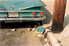 麻吉MAQI采集到威廉·埃格尔斯顿(William Eggleston）