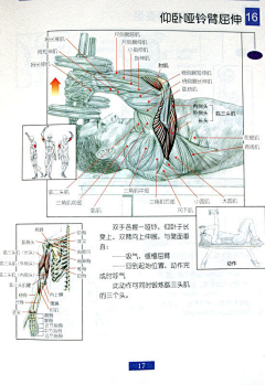 4587zxk采集到健身