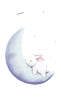 睡在月亮上的兔子