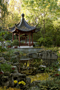 Autumn sunrise in the Chinese Garden - Missouri Botanical Garden, St. Louis MO