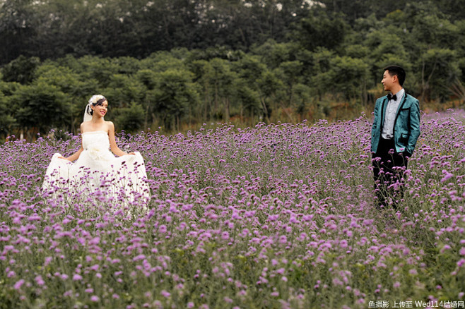 成都薰衣草婚纱照 6月薰衣草婚纱照照片-...