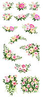 水彩花卉剪贴画合辑包 Rosaleen watercolor floral clipart #1667505 :  