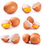 高清  鸡蛋  蛋黄  蛋碎  鸡蛋壳#透明背景素材##PNG格式#