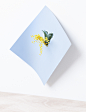 martina-lang-paperplant-series-1 | Trendland