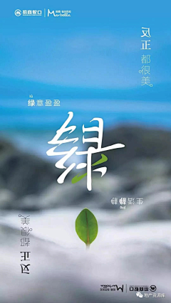 枫吟采集到创意版式