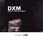 DXM的故事_其他网站