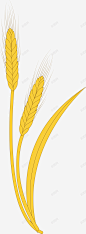 小麦麦穗手绘图图标 麦穗图标 UI图标 设计图片 免费下载 页面网页 平面电商 创意素材