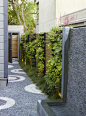Green walls warm up the side alley in a San Francisco landscape designed by Monica Viarengo: 