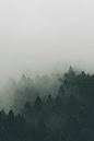 White fog over the dark forest photo by Staffan Kjellvestad (@staffank) on Unsplash : Download this photo in Kyoto, Japan by Staffan Kjellvestad (@staffank)
