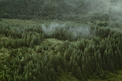 蘇舟采集到沿途风景