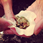 soup dumpling 5 - @petitebutsweet- #webstagram