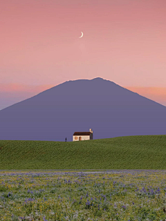 橘红红采集到背景