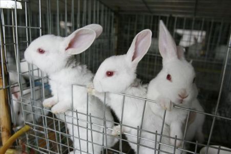 d192da6c0570b55f5d27851961da4020134bcc3f6238-owkEbA