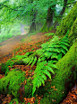 The Path by Stuart Low on 500px