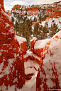 Winter, Dixie National Forest, Utah