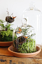 cloche ideas