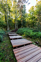 ww1-landscape-memorial-forest-path-Ypres-Belgium-omgeving-landscape-architecture-12 « Landscape Architecture Works | Landezine