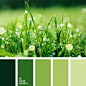 For inspiration, art and design. Color match was made by nature. All color scheme are made by those, who love colors. You can use those pallets in wedding inspiration, wedding decor and in any design needs. More color pallets on color.romanuke.com.