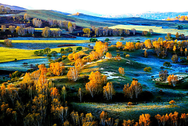 新疆阿勒泰喀纳斯河卧龙湾迷人的秋色