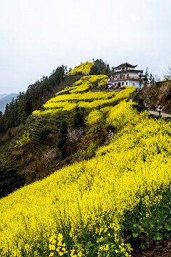 秋逸雅采集到田园牧歌