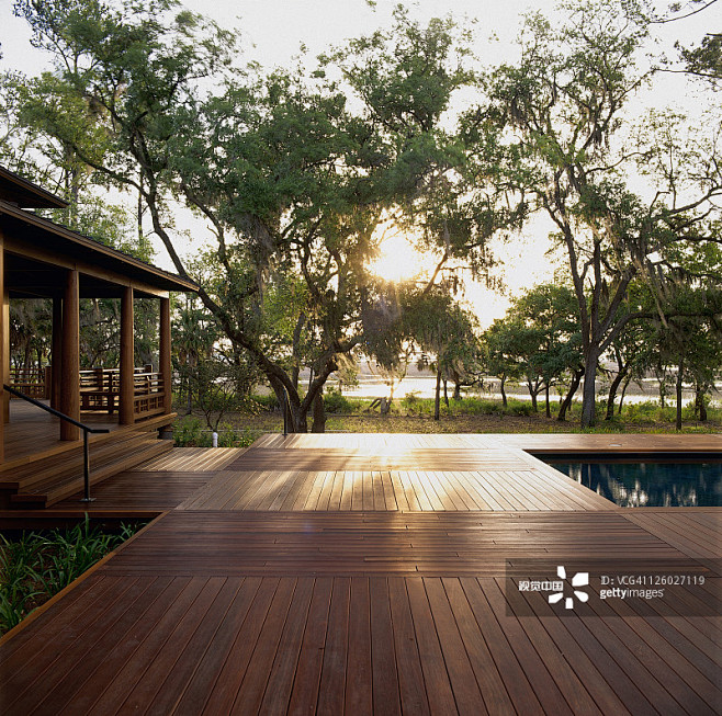 Sunlit decking, Pine...