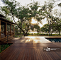 Sunlit decking, Pine Island, GA, USA, designer Oehme van Sweden_创意图片