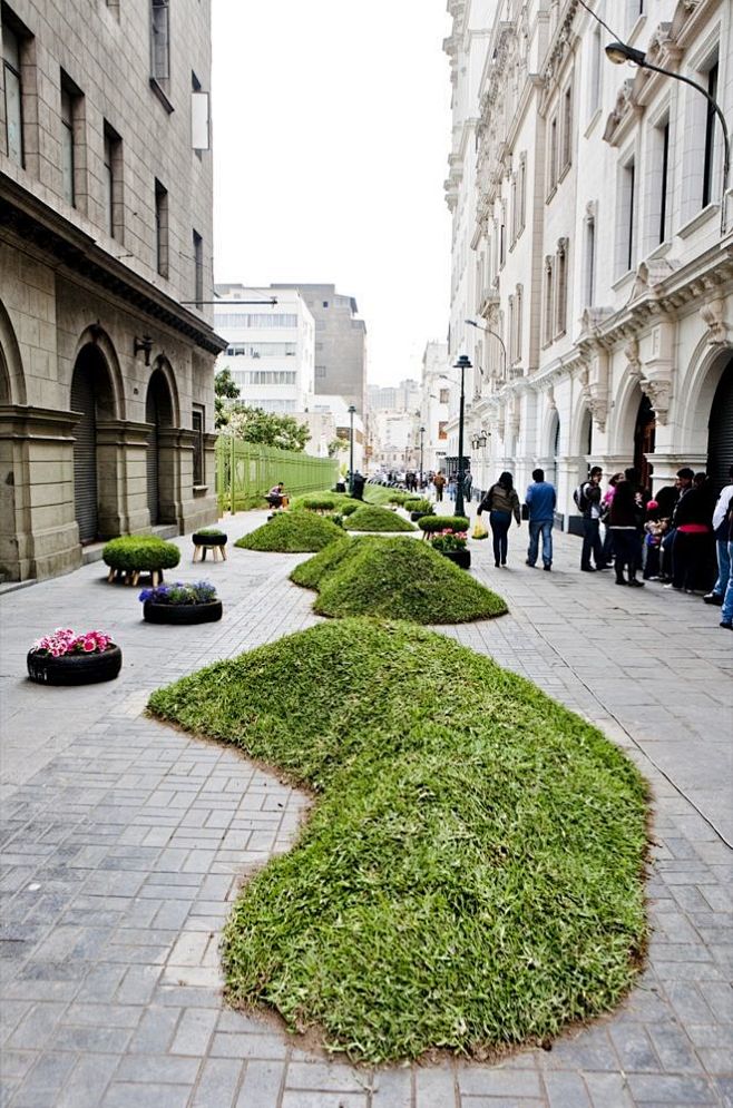 Grassy mounds (Lima,...