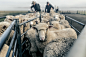 New Zealand Sheep Farm - Vol-2 : A day in the life of a New Zealand Merino sheep farm