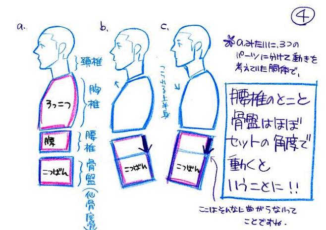 背骨の動き genga (4)