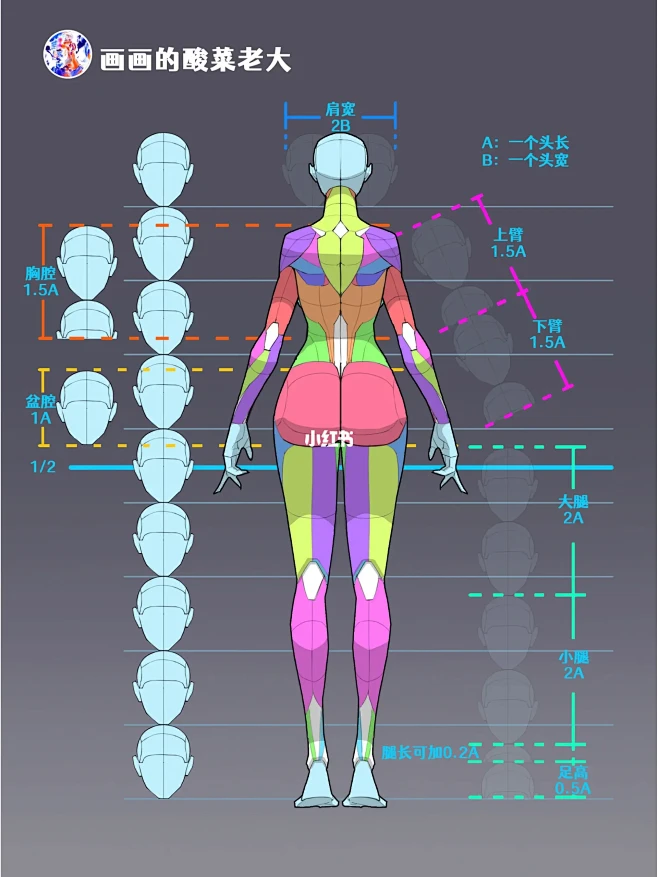 你们要的女人体背面人体49/100