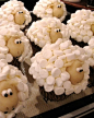 Sheep cupcakes