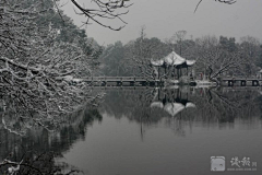 带着相机散步采集到最美还是雪西湖