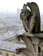 【巴黎之秋5】巴黎圣母院钟楼上的奇幻怪物, 与我同行旅游攻略