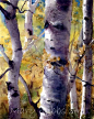 pbigSunlit Birches/bigbrAvailable in:br*Card: $3.50   *8x10: $20   *11x14: $30br*Limited Edition: $95/p