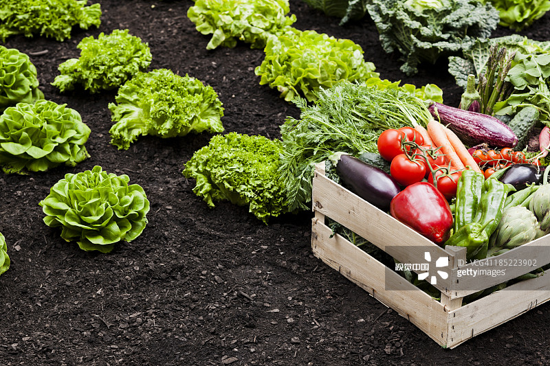 d22b60168965e18e776aecb8c1e45e952c048cce44214-7u4ZAW